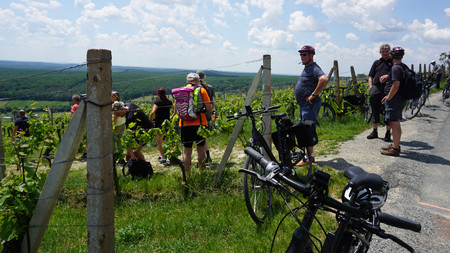 Fahrradtour im Harz mit Genuss Bike Paradies