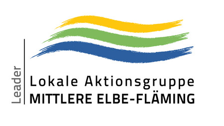 Logo LAG MEF